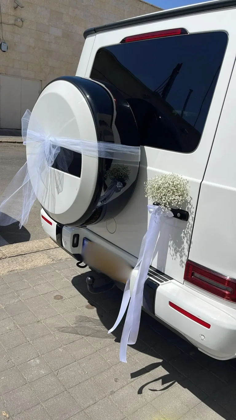 קישוט לרכב נופרוז