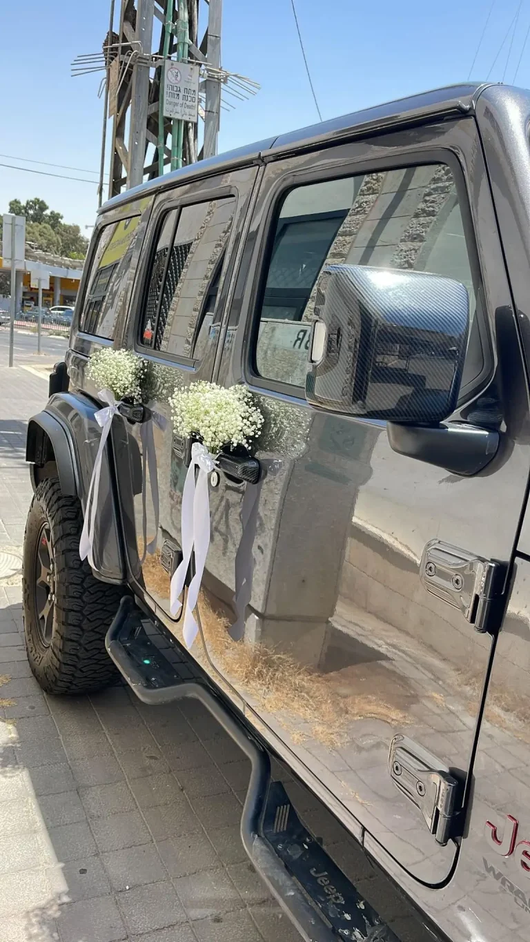 קישוטי רכב נופרוז