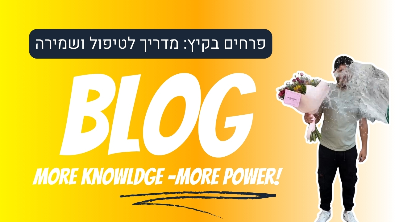 פרחים בקיץ מדריך לטיפול ושמירה - נופרוז משלוחי פרחים באר שבע והסביבה