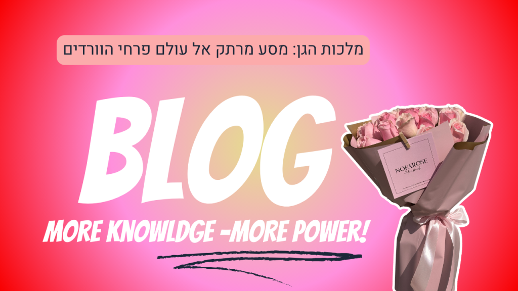 מלכות הגן מסע מרתק אל עולם פרחי הוורדים נופרוז משלוחי פרחים באר שבע והסביבה