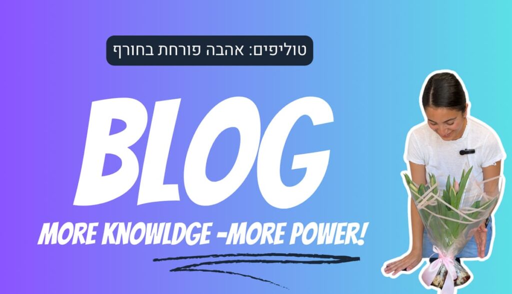טוליפים אהבה פורחת בחורף