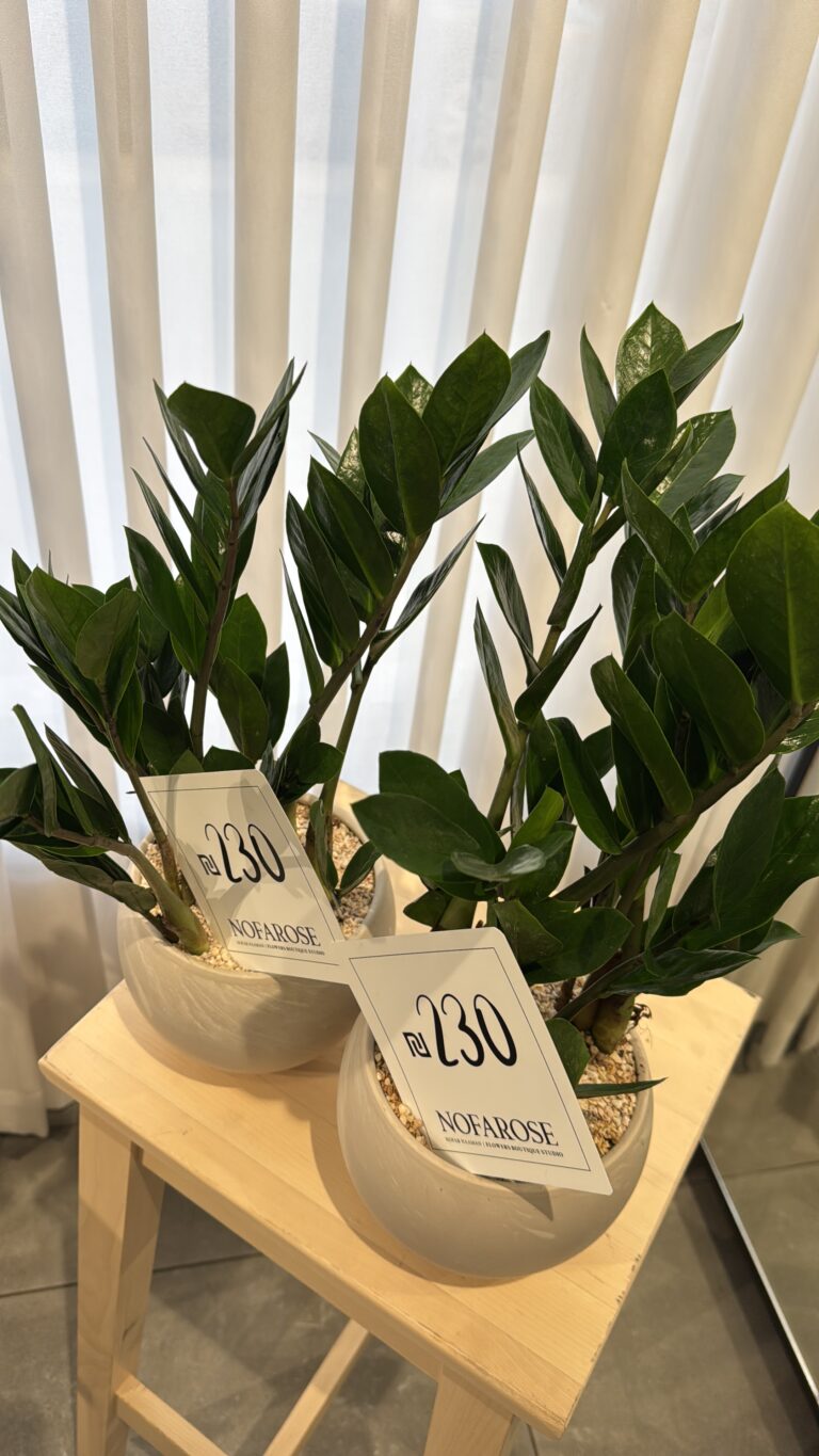 E27F19BF 90E8 4598 BFF3 8825AF38F762